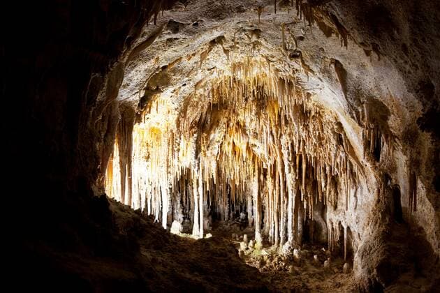 Carlsbad Caverns National Park in USA 03C70342