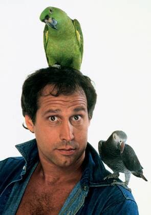 Chevy Chase Comedy Actor 01 May 1985  Copyright: MaryxEvansxAFxArchive 12044280 editorial use only  