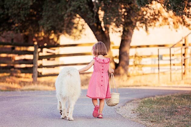 IMAGO Creative: Sommer, Abendspaziergang Back view of little girl walking beside big white dog on country road model released Symbolfoto property released  XCF00224