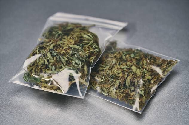 Marijuana in small plastic bags Berlin Germany Berlin  Copyright: NormanxPosselt fStopImages1859009