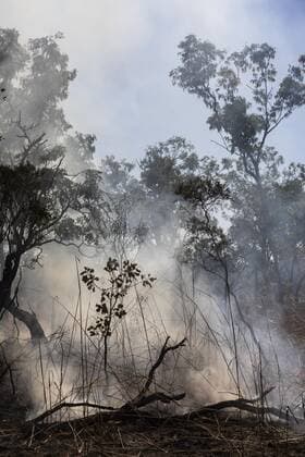 IMAGO Nature: Unsere Erde, Umweltverträgliche Herausforderungen, Regenwald Smoke rising from smoldering preventative patch burn, Kakadu National Park, Australia  Copyright: TobiasxTitz fStopImages1862023