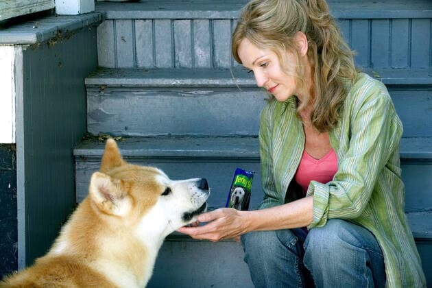 Hachiko & Joan Allen Film: Hachiko: A Dog s Story ; Hachi A Dog s Tale (2009) Director: Lasse Hallstrom 13 June 2009  Copyright: MaryxEvansxAFxArchivexSonyxPicturesxHomexEntertainment 12684990 editorial use only