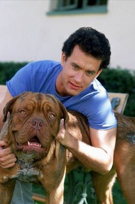 Tom Hanks & Dog Characters: Det. Scott Turner & Film: Turner & Hooch (1989) Director: Roger Spottiswoode 28 July 1989  Copyright: MaryxEvansxAFxArchivexTouchstone 12475344 editorial use only