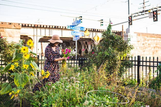 IMAGO Creative: Stadt-Dichotomien IMAGO Creative: Stadt und Land, Slowflower Bewegung happy woman in urban garden with fresh flowers United States, Connecticut, Bridgeport CR_KRMI191011-216938-01