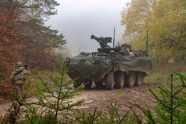 November 3, 2019 - Hohenfels, Germany - Soldiers assigned to Comanche Troop, 1st Squadron, 2d Cavalry Regiment prepare to conceal a Stryker Infantry Carrier Vehicle during Dragoon Ready 20 at the Joint Multinational Readiness Center in Hohenfels, Germany, Nov. 3, 2019. Dragoon Ready is a 7th Army Training Command led exercise designed to ensure readiness and certify 2CR Soldiers in NATO combat readiness and unified land operations. Hohenfels Germany - ZUMAz03_ 20191103_sho_z03_794 Copyright: xU.S.xArmyx