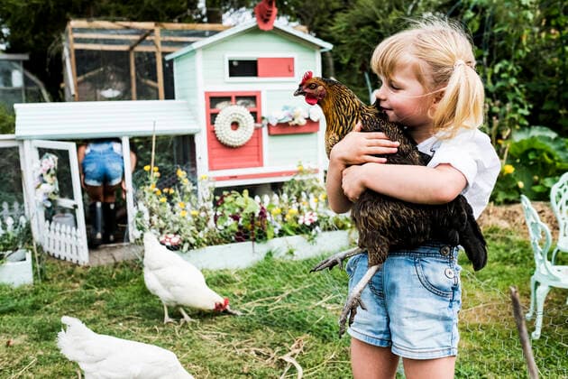 Blond girl standing in a garden in front of hen house, holding brown chicken. Blond girl standing in a garden in front of hen house, holding brown chicken.  59402