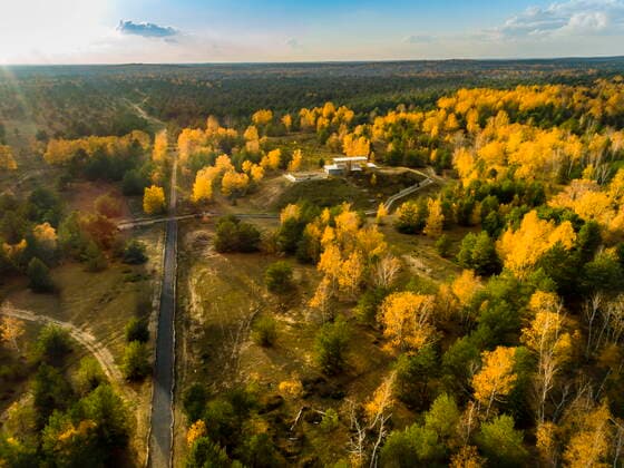 Aus Truppenübungsplatz soll Internationale Naturausstellung (INA) werden DEU Brandenburg Lieberose Â Die Internationale Naturausstellung Lieberoser Heide wurde 2019 Teil des Koalitionsvertrags der neuen Landesregierung Brandenburg: Damit erhält die INA den Status eines Landesmodellprojekts zur integrierten Entwicklung des ländlichen Raumes und wird im Rahmen der Projektförderung durch Leader und des Strukturwandels in der Lausitz als Projekt mit Landesbedeutung gewertet. Auf dem Gelände rund um den alten Generalshügel, vom ehemaligen 255 Quadratkilometern großen Übungsplatz der Panzerbrigaden der Weststreitkräfte der Roten Armee, ist ein bislang deutschlandweit einzigartiges Lehrobjekt entstanden. Der Sukzessionspark präsentiert dabei die Entwicklung von der pflanzenleeren Wüste bis zum artenreichen Mischwald. Bereits 200