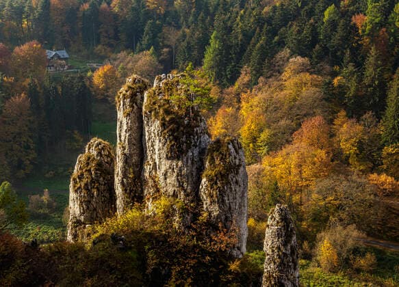 The Glove Rock Formation, Ojcow National Park, Krakow-Czestochowa Upland (Polish Jura), Lesser Poland Voivodeship, Poland, Europe Copyright: KarolxKozlowski 1245-1815