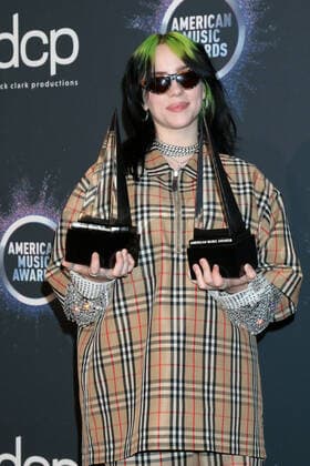 LOS ANGELES - NOV 24: Billie Eilish at the 47th American Music Awards - Press Room at Microsoft Theater on November 24, 2019 in Los Angeles, CA  Copyright: xKathyxHutchinsx xIPAx xHutchinsxPhotox