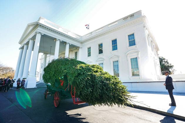 A Secret Service agent stands by as a horse drawn carriage delivers the official White House Christmas at the White House in Washington, DC on Monday, November 25, 2019. The douglas fir tree is from Mahantongo Valley Farms in Pitman, Pennsylvania.  WAP20191125310 KEVINxDIETSCH