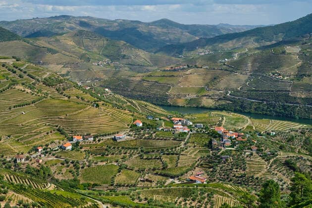 Portugal, Douro Valley, terraced vineyard overlooking village and Douro river  MRF02131