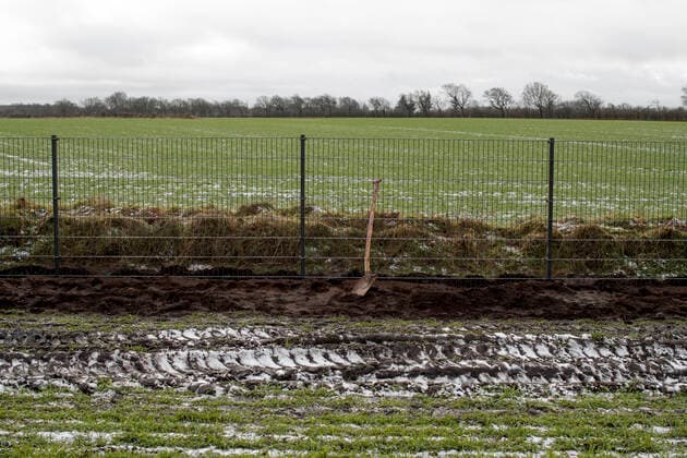 (ARKIV) Vildsvinehegn langs graensen til Tyskland, lidt uden for Padborg, den 29. januar 2019. Mandag staar det omstridte vildsvinehegn ved den dansk-tyske graense helt klar. Men WWF og Danmarks Naturfredningsforening kaemper for at faa hegnet fjernet igen. Det skriver Ritzau, loerdag den 30. november 2019.. , Padborg Denmark Copyright: PeterxHovexOlesenx cop999 spdk20191130-130811-L