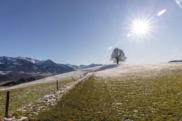 Sonniges Wetter im Allgäu 05.12.2019, Ofterschwang (Bayern): Die Sonne scheint auf einer Wiese mit einem kahlen Baum und einer dünnen Schneedecke vor den Allgäuer Hochalpen., Ofterschwang Deutschland