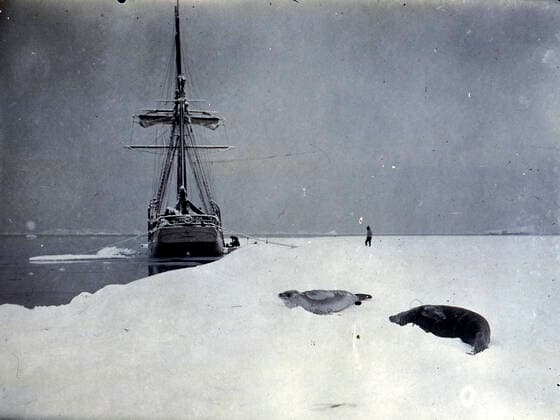 Commandant CHARCOT Le bateau Le Français de l expedition Charcot au pole sud en 1903-1905 amarre a la banquise pas loin des phoques. Photographie PLENEAU P. (19-20 s.). Credit: KHARBINE-TAPABOR COLL. S. Kakou.