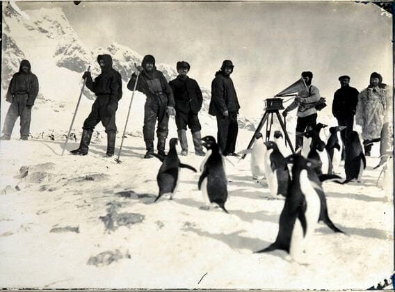 Commandant CHARCOT Les membres de l expedition Charcot au pole sud entre 1903 et 1905 faisant danser les manchots au son du phonographe. Photographie PLENEAU P. (19-20 s.). Credit: KHARBINE-TAPABOR COLL. S. Kakou.