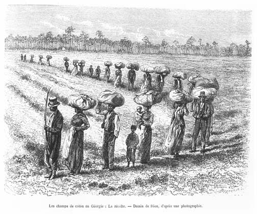 IMAGO History, Ende des afrikanischen Sklavenhandels und die Abschaffung der Sklaverei: 1807-1888 Esclavage Les champs de coton en Georgie, la recolte. Dessin d Edouard RIOU (1823-1900) d apres une photographie tire du Tour du Monde en 1873. Credit Collection Kharbine Tapabor. *** Slavery Cotton fields in Georgia, the harvest Edouard RIOUs drawing 1823 1900 after a photograph from the 1873 World Tour Credit Collection Kharbine Tapabor  KH65563