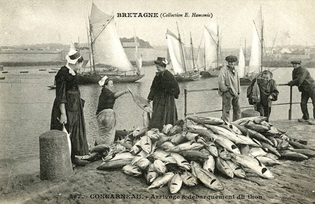 PECHE Arrivage er debarquement du thon a Concarneau (Finistere). Photogarphie anonyme pour une carte postale vers 1910. Credit : Collection IM KHARBINE-TAPABOR. *** FISHING Arrival and landing of tuna at Concarneau Finistere Anonymous photography for a postcard around 1910 Credit Collection IM KHARBINE TAPABOR  KH149553