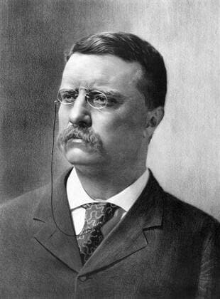 USWahl2024, die großen Präsidenten, Theodore Roosevelt June 13, 2019, USA: Theodore Roosevelt, Head and Shoulder Portrait as Governor of New York, Lithograph from Photograph by George Prince, July 1900 USA - ZUMAg145 20190613_zza_g145_006 Copyright: xJTxVintagex