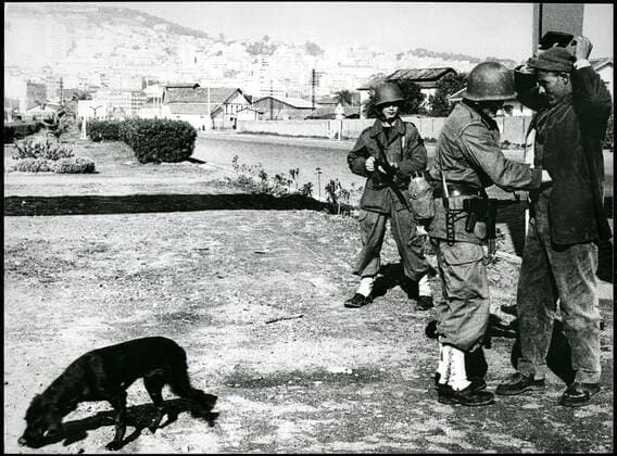 GUERRE D ALGERIE Scene de ratissage a Alger pendant la guerre d Algerie. Photographie anonyme vers 1957. Credit : Collection KHARBINE-TAPABOR. *** WAR OF ALGERIA Scene of raking in Algiers during the war of Algeria Anonymous photography around 1957 Credit Collection KHARBINE TAPABOR  KH80319