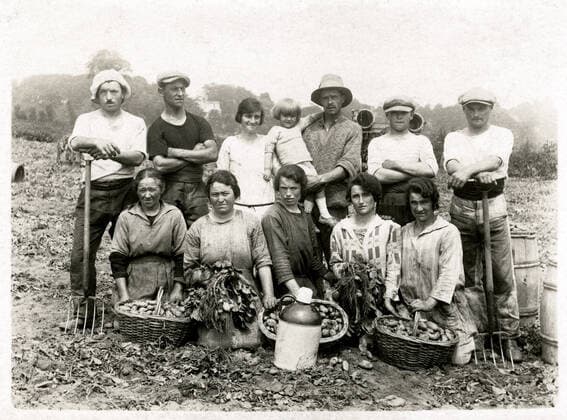 POMME DE TERRE Groupe de paysans apres la recolte de pommes de terre. Photographie anonyme vers 1910. Credit : Collection KHARBINE-TAPABOR. *** POTATO GROUP Group of farmers after the potato harvest Anonymous photograph circa 1910 Credit Collection KHARBINE TAPABOR  KH87507