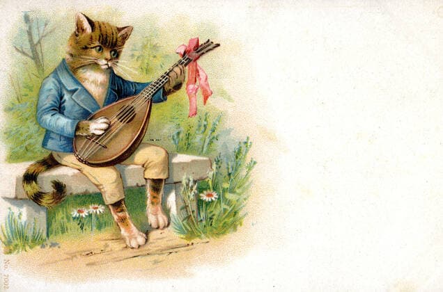 CHAT carte postale CHAT,avec une mandoline. carte postale en chromolithographie vers 1905 faisant partie d une serie. Credit Kharbine Tapabor *** CHAT postcard CHAT, with a mandolin postcard in chromolithography around 1905 as part of a series Credit Kharbine Tapabor  KH88249