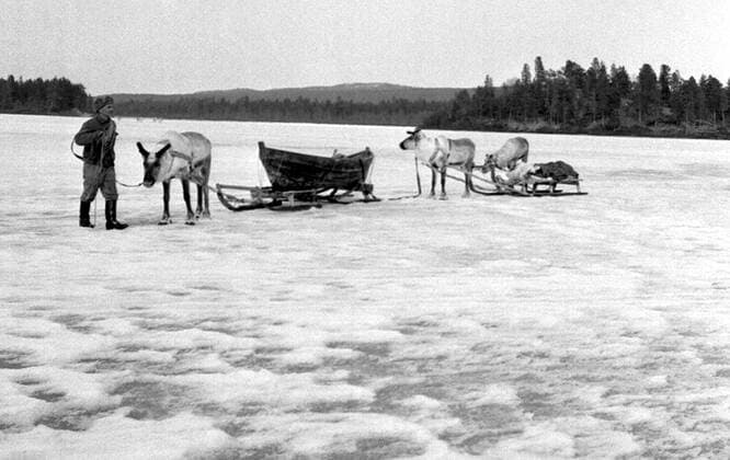 LAPONIE Traineau lapon, KAITUM en LAPONIE.Photographie de Roger PERRIN , 1955. Credit Photo PERRIN KHARBINE TAPABOR
