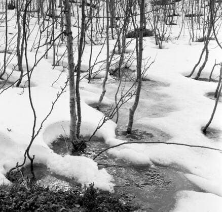 LAPONIE Paysage en LAPONIE. Photographie de Roger PERRIN , 1955. Credit Photo PERRIN KHARBINE TAPABOR