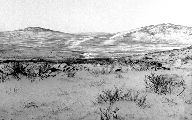 LAPONIE Paysage en LAPONIE. Photographie de Roger PERRIN , 1955. Credit Photo PERRIN KHARBINE TAPABOR