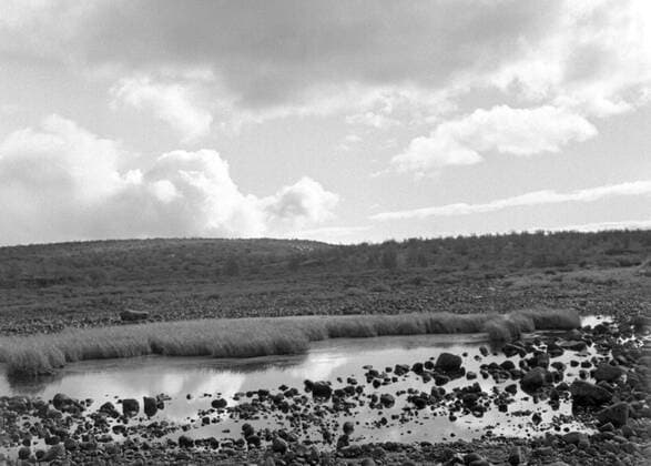 LAPONIE Paysage en LAPONIE. Photographie de Roger PERRIN , 1955. Credit Photo PERRIN KHARBINE TAPABOR
