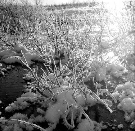 LAPONIE Paysage en LAPONIE. Photographie de Roger PERRIN , 1955. Credit Photo PERRIN KHARBINE TAPABOR