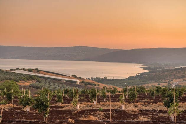See Genezareth bei Tiberias, Israel *** Sea of Galilee near Tiberias, Israel