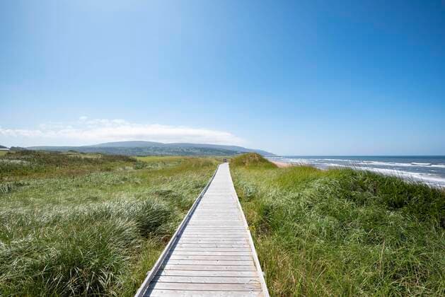 Holzsteg durch Dünenlandschaft, Inverness Beach Boardwalk, Cape Breton Island, Nova Scotia, Kanada, Nordamerika Copyright: imageBROKER/MarkusxKeller ibxmkl05089179.jpg