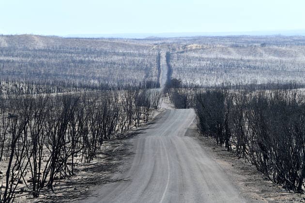 IMAGO Nature: Unsere Erde, Klimawandel, Waldbrände KANGAROO ISLAND BUSHFIRES, A general view of the damage done to the Flinders Chase National Park after bushfires swept through on Kangaroo Island, southwest of Adelaide, Tuesday, January 7, 2020. A convoy of Army vehicles, transporting up to 100 Army Reservists and self-sustainment supplies, have arrived on Kangaroo Island as part of Operation Bushfire Assist at the request of the South Australian Government. ( NO ARCHIVING, EDITORIAL USE ONLY, NO USE IN BOOKS WITHOUT CONSENT ADELAIDE SA AUSTRALIA  Copyright: xDAVIDxMARIUZx 20200107001440814279