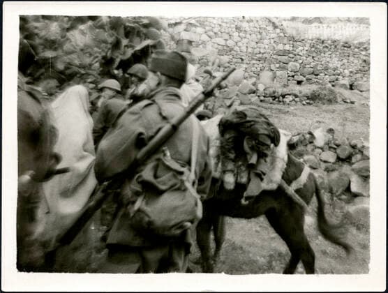GUERRE D ALGERIE Un des leurs tue par nous est porte par un ane . Legende au dos d une photographie anonyme prise dans les Aures (Algerie) vers 1960. Credit : Collection NBL Kharbine-Tapabor. *** ALGERIAN WAR One of theirs killed by us is carried by a Legend donkey on the back of an anonymous photograph taken in the Aures Algerie around 1960 Credit Collection NBL Kharbine Tapabor  KH199645