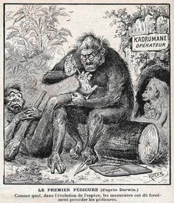 EVOLUTIONNISME Le premier pedicure (d apres DARWIN) Comme quoi, dans l evolution de l espece, les manucures ont du forcement preceder les pedicures. Caricature par KOTEK pour le Pele-Mele du 5 janvier 1902. Credit : Collection KHARBINE-TAPABOR.