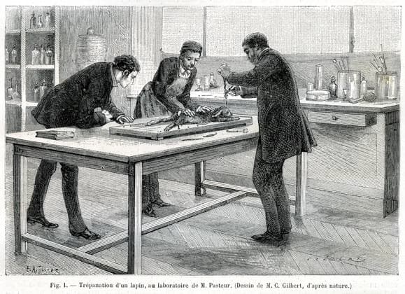 PASTEUR - Laboratoire Trepanation d un lapin au laboratoire de M. Pasteur . Illustration par Gilbert tiree de la revue La Nature du 6 mars 1886. Credit : Collection KHARBINE-TAPABOR. *** PASTEUR Laboratory Trepanation of a rabbit in the laboratory of Mr Pasteur Illustration by Gilbert from the magazine La Nature of March 6, 1886 Credit Collection KHARBINE TAPABOR  KH246106