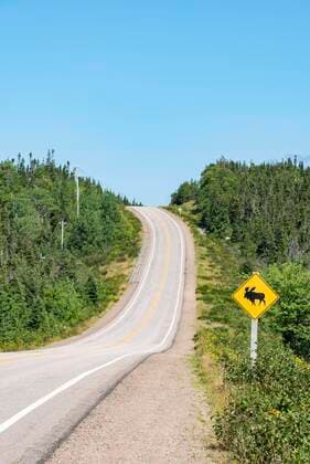 Straßenschild warnt vor kreuzenden Elchen, Cabot Trail, Cape-Breton-Highlands-Nationalpark, Nova Scotia, Kanada, Nordamerika Copyright: imageBROKER/MarkusxKeller ibxmkl05089053.jpg
