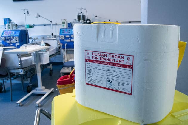 Symbolfoto, Organtransplantation, Organspende, Transportbox, Organspende, *** Symbol photo, organ transplant, organ donation, transport box, organ donation,