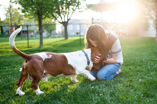 Tween girl kissing Basset Hound dog on head in the green grass at home Grimes, Iowa, USA CR_LIPF191103-227181-01