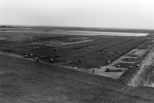 Adolf-Hitler-Koog Adolf-Hitler-Koog in Schleswig-Holstein, 1936. Adolf Hitler Koog in Schleswig-Holstein, 1936., Deutschland Copyright: ErichxAndres UnitedArchives6202662