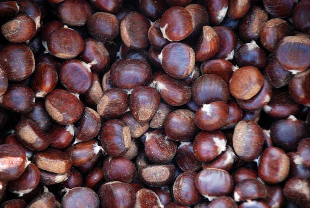 chestnuts chestnuts  Copyright: xnehrux 1320338