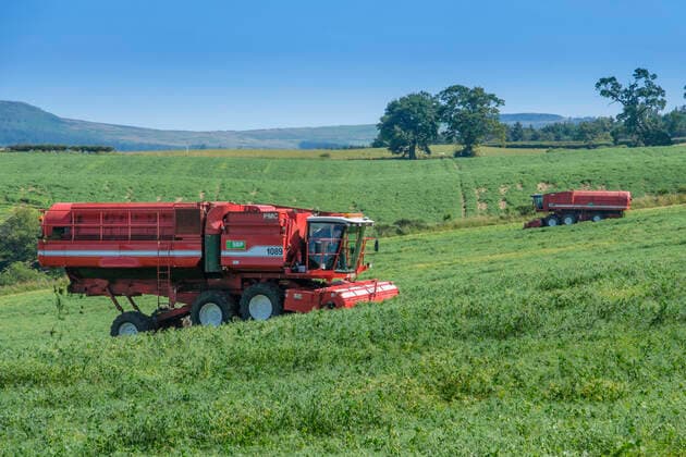 IMAGO Nature: Unsere Erde, Klimawandel, Ernährung, Pflanzen der Zukunft, Futtererbse Two PMC self levelling pea harvesters in a field. NR H&M H Copyright: xBillxAllsopp LOOPxIMAGESx BAL07019008