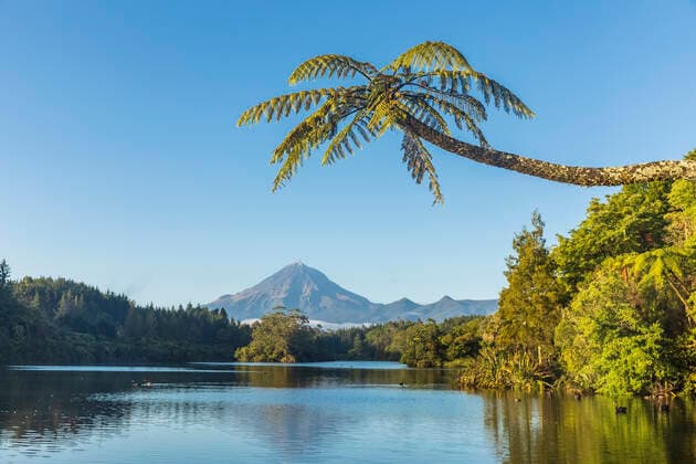 IMAGO Nature: Unsere Erde, Naturschutz, Naturschutzgebiete in Ozeanien New Zealand, Palm tree growing on forested shore of Lake Mangamahoe with Mount Taranaki looming in background  FOF11288