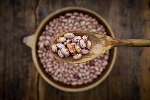 Spoon of dried pinto beans  LVF08460