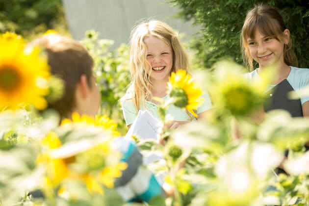 IMAGO Creative: NGO, Ausbildung für Kinder School children examining sunflower field model released Symbolfoto  WESTF24522