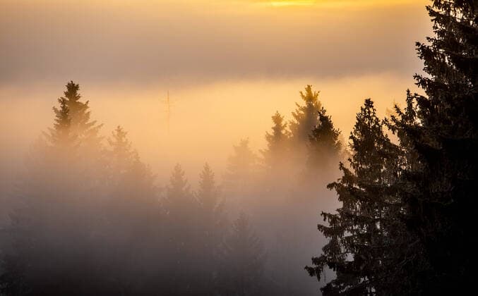 Sonnenuntergang im Oberharz 25.01.2020, Altenau (Niedersachsen): Sonnenuntergang im Oberharz an der Nebelgrenze, Fichten ragten aus dem Nebelmeer im Tal., Altenau Deutschland
