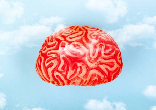 Brain in the clouds in the blue sky Concept of head in the clouds *** Brain in the clouds in the blue sky Concept of head in the clouds  1085307713