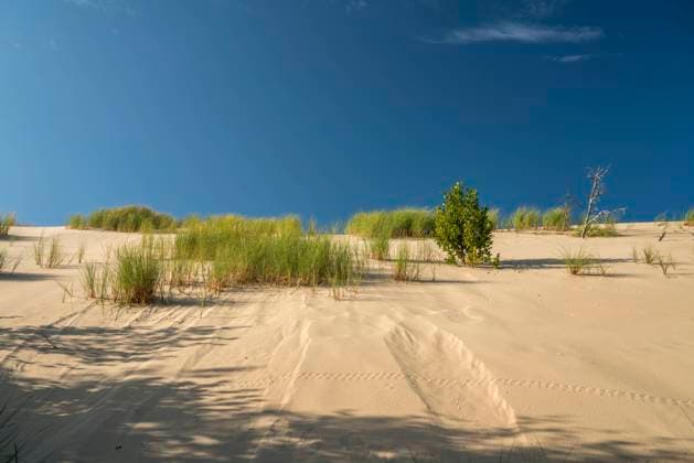 Wanderdünen Sand Wanderdünen, Slowinzischer Nationalpark, Pommern, Polen, Europa Moving sand dunes, Slowinski National Park, Pomerania, Poland, Europe