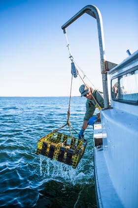 IMAGO Creative, Unsere Erde, Umweltverträgliche Herausforderungen des 21. Jahrhunderts, Überfischung Pulling pots for conch shellfishing on Narragansett Bay Wickford, Rhode Island, United States CR_CABR191204-232485-01