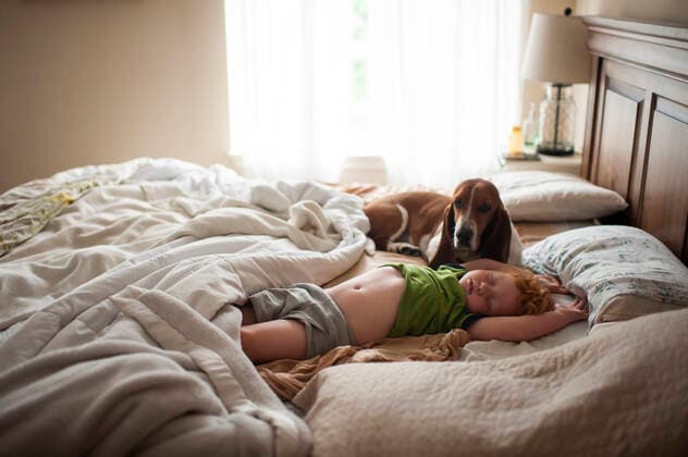 Toddler boy sleeping in bed with basset hound dog next to him at home Grimes, IA, United States CR_LIPF191205-242638-01